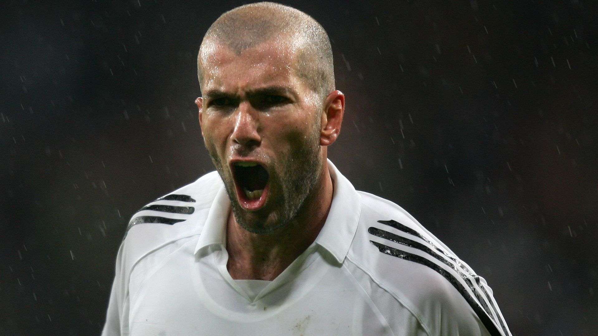 正如帕金斯 正如帕金斯